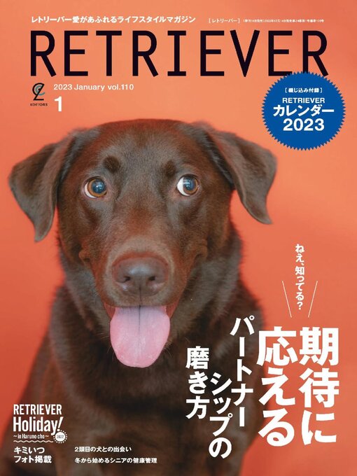 Title details for RETRIEVER(レトリーバー) by Stereo Sound Publishing Inc. - Available